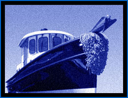 Bow whisker or pudding, photo courtesy Bill Pasik, of Crosby Yachts